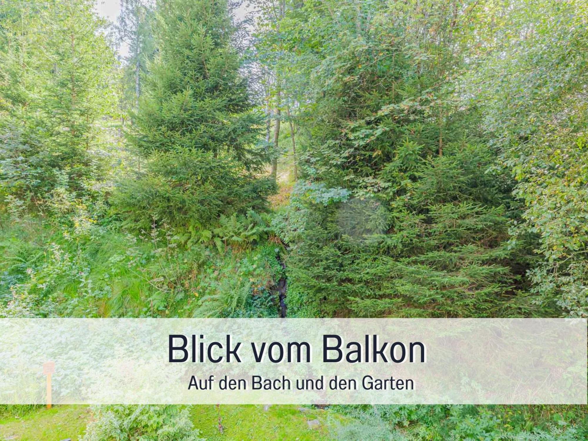 Baechle Im Wanderparadies Balkon Mit Blick Auf Den Bach Sauna Im Haus Tiefgarage E-Ladestation Тодтнауберг Екстериор снимка