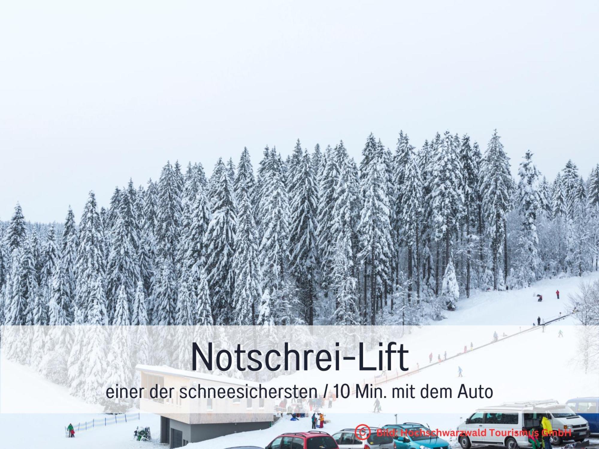 Baechle Im Wanderparadies Balkon Mit Blick Auf Den Bach Sauna Im Haus Tiefgarage E-Ladestation Тодтнауберг Екстериор снимка