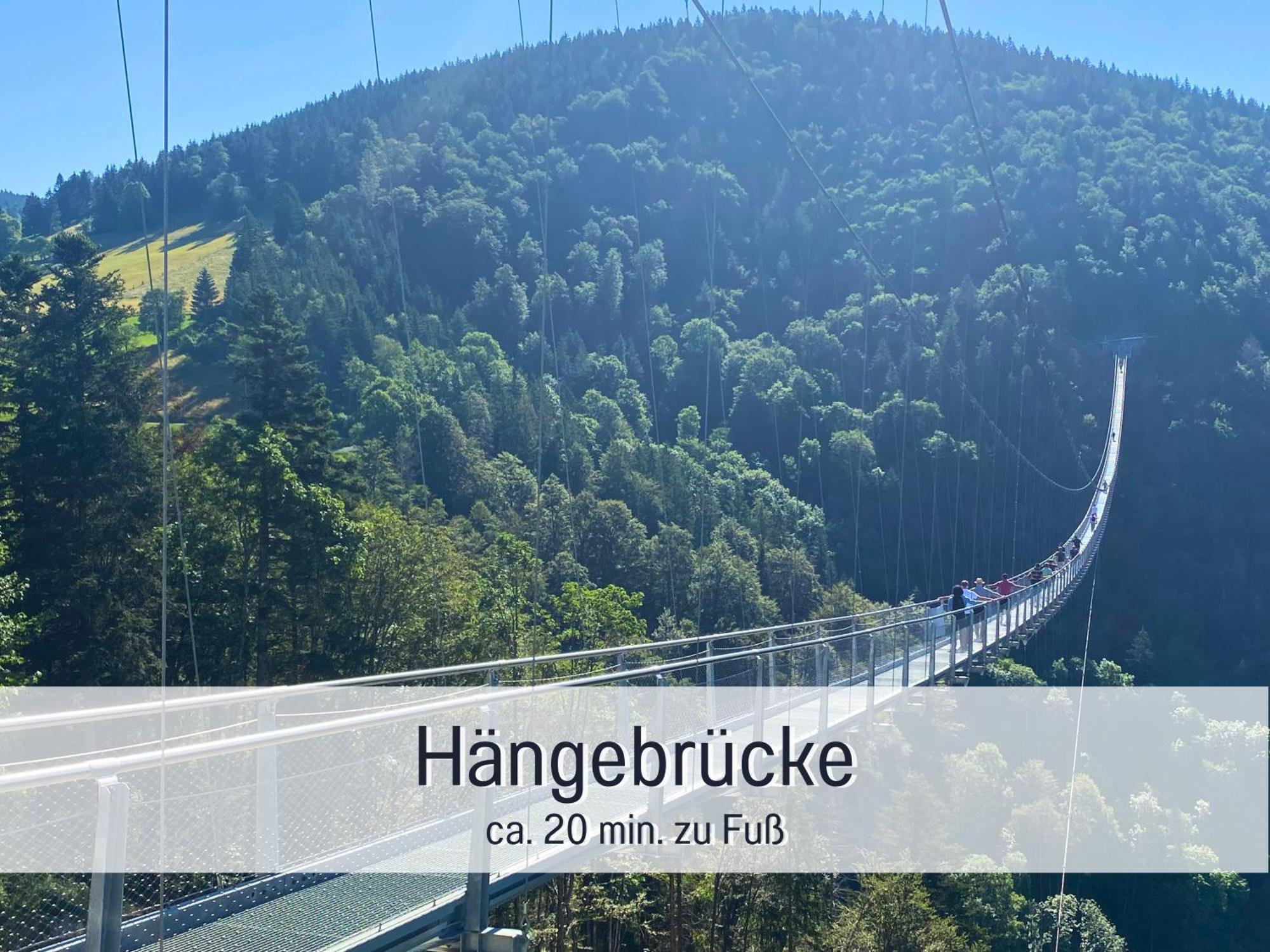 Baechle Im Wanderparadies Balkon Mit Blick Auf Den Bach Sauna Im Haus Tiefgarage E-Ladestation Тодтнауберг Екстериор снимка